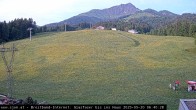 Archiv Foto Webcam St. Johann in Tyrol - Station Eichenhof 05:00
