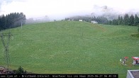 Archiv Foto Webcam St. Johann in Tyrol - Station Eichenhof 05:00