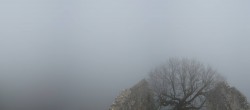 Archived image Webcam Allgäu: Castle Falkenstein 13:00