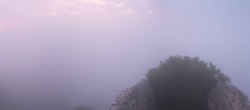 Archiv Foto Webcam Ausblick Burgruine Falkenstein 03:00