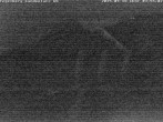 Archiv Foto Webcam Schwangau: Landeplatz am Tegelberg 03:00