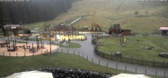 Archived image Webcam Alpsee-Bergwelt: Play Ground 11:00