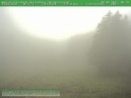 Archiv Foto Webcam Steinbach-Hallenberg 05:00