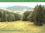 Archiv Foto Webcam Steinbach-Hallenberg 11:00