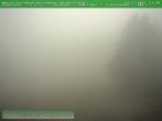 Archiv Foto Webcam Steinbach-Hallenberg 10:00