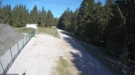 Archiv Foto Webcam Stein 16 am Wanderweg Rennsteig 09:00