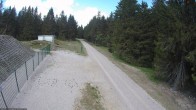 Archiv Foto Webcam Stein 16 am Wanderweg Rennsteig 11:00