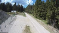 Archiv Foto Webcam Stein 16 am Wanderweg Rennsteig 13:00