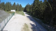 Archiv Foto Webcam Stein 16 am Wanderweg Rennsteig 09:00