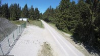 Archiv Foto Webcam Stein 16 am Wanderweg Rennsteig 11:00