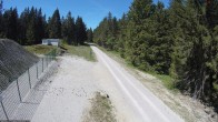 Archiv Foto Webcam Stein 16 am Wanderweg Rennsteig 13:00