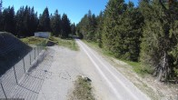 Archiv Foto Webcam Stein 16 am Wanderweg Rennsteig 15:00