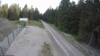 Archived image Webcam Hiking trail Rennsteig 05:00