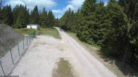 Archiv Foto Webcam Stein 16 am Wanderweg Rennsteig 11:00