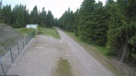 Archiv Foto Webcam Stein 16 am Wanderweg Rennsteig 11:00