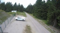Archiv Foto Webcam Stein 16 am Wanderweg Rennsteig 09:00