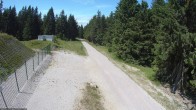 Archiv Foto Webcam Stein 16 am Wanderweg Rennsteig 13:00