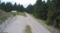 Archiv Foto Webcam Stein 16 am Wanderweg Rennsteig 17:00