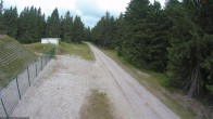 Archiv Foto Webcam Stein 16 am Wanderweg Rennsteig 09:00