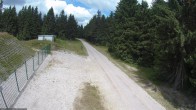 Archiv Foto Webcam Stein 16 am Wanderweg Rennsteig 11:00