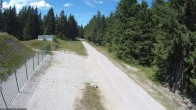 Archiv Foto Webcam Stein 16 am Wanderweg Rennsteig 13:00
