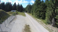 Archiv Foto Webcam Stein 16 am Wanderweg Rennsteig 15:00