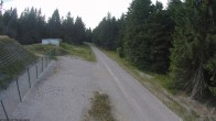 Archiv Foto Webcam Stein 16 am Wanderweg Rennsteig 17:00