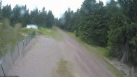 Archiv Foto Webcam Stein 16 am Wanderweg Rennsteig 09:00