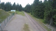 Archiv Foto Webcam Stein 16 am Wanderweg Rennsteig 11:00