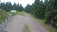Archiv Foto Webcam Stein 16 am Wanderweg Rennsteig 15:00
