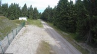 Archiv Foto Webcam Stein 16 am Wanderweg Rennsteig 09:00