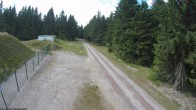Archiv Foto Webcam Stein 16 am Wanderweg Rennsteig 15:00