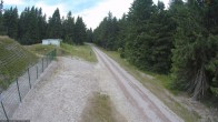 Archiv Foto Webcam Stein 16 am Wanderweg Rennsteig 17:00