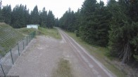 Archived image Webcam Hiking trail Rennsteig 05:00