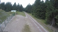 Archiv Foto Webcam Stein 16 am Wanderweg Rennsteig 06:00
