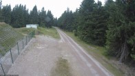 Archiv Foto Webcam Stein 16 am Wanderweg Rennsteig 07:00