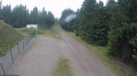 Archiv Foto Webcam Stein 16 am Wanderweg Rennsteig 15:00