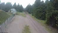 Archiv Foto Webcam Stein 16 am Wanderweg Rennsteig 05:00