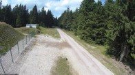 Archiv Foto Webcam Stein 16 am Wanderweg Rennsteig 13:00