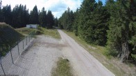 Archiv Foto Webcam Stein 16 am Wanderweg Rennsteig 15:00