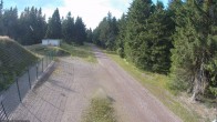 Archiv Foto Webcam Stein 16 am Wanderweg Rennsteig 17:00