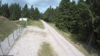 Archiv Foto Webcam Stein 16 am Wanderweg Rennsteig 11:00