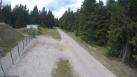 Archiv Foto Webcam Stein 16 am Wanderweg Rennsteig 13:00