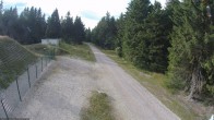 Archiv Foto Webcam Stein 16 am Wanderweg Rennsteig 17:00