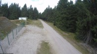 Archiv Foto Webcam Stein 16 am Wanderweg Rennsteig 08:00