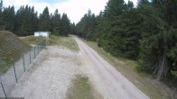 Archiv Foto Webcam Stein 16 am Wanderweg Rennsteig 11:00