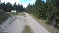 Archiv Foto Webcam Stein 16 am Wanderweg Rennsteig 12:00