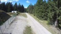 Archiv Foto Webcam Stein 16 am Wanderweg Rennsteig 13:00