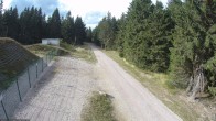 Archiv Foto Webcam Stein 16 am Wanderweg Rennsteig 15:00