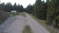 Archiv Foto Webcam Stein 16 am Wanderweg Rennsteig 17:00